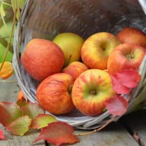 Как да изберем най-добрите ябълки за ябълкова хрупкавост и на трохи с кошница с пресни ябълки.
