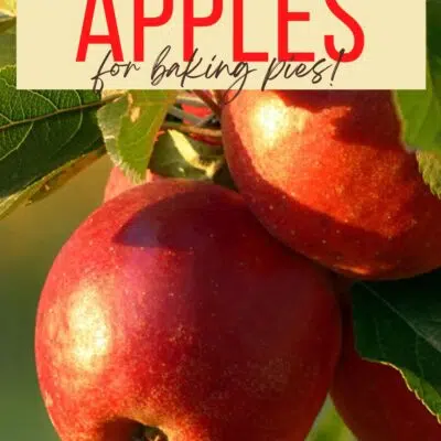Best apples for apple pie pin with text header box and fresh apples on the tree branch.