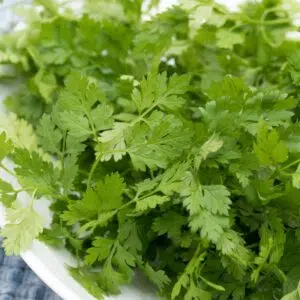 Square image of chervil herbs.