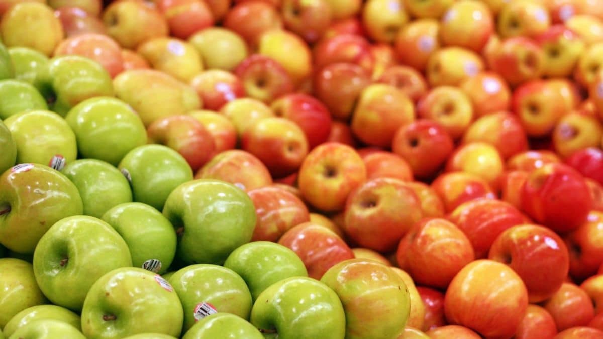 Variety of fresh apples to choose from in your local grocery store.
