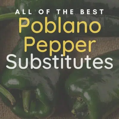 Best poblano pepper substitute pin with vignette and text title overlay.