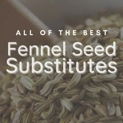 Pin image with text for fennel seed substitute.