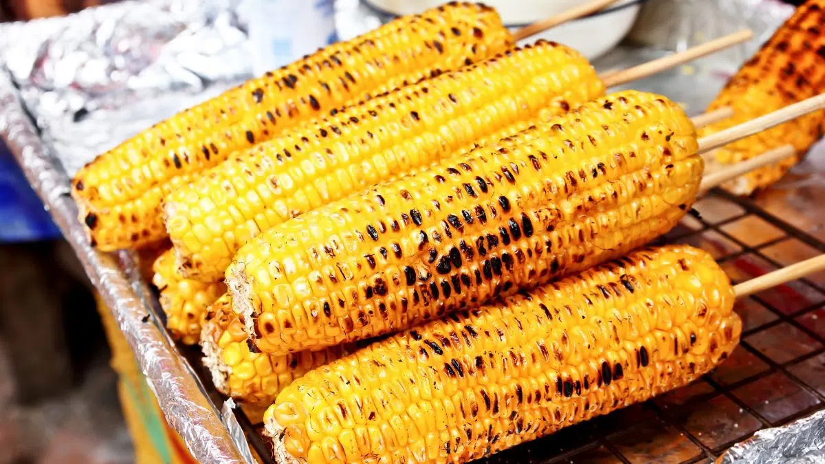 Wide image of grilled corn on the cob stacked with wooden skewers.