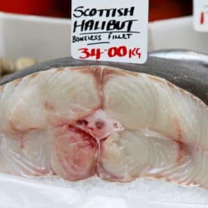 Square image of halibut filet steaks in display case at store.