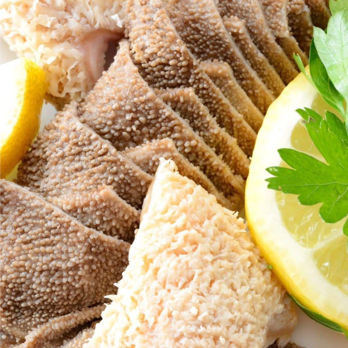 What Is Tripe: An In-Depth Guide To This Tasty Meat 