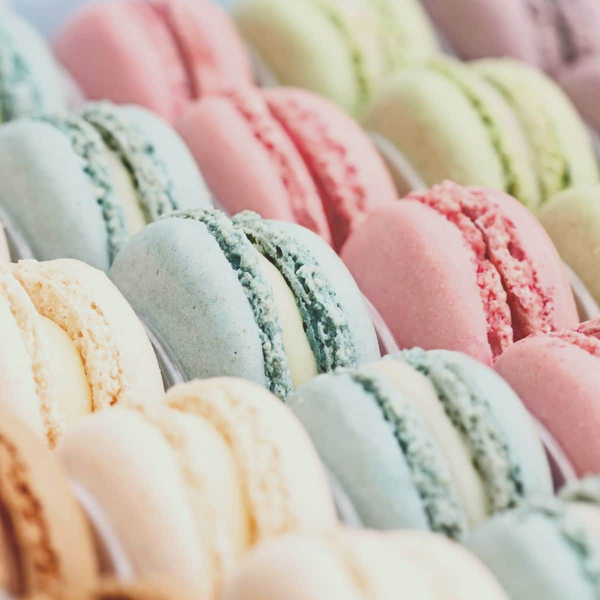 macarons flavors