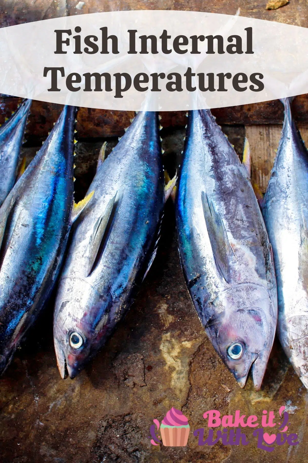 Pin image wih text showing fresh fish.