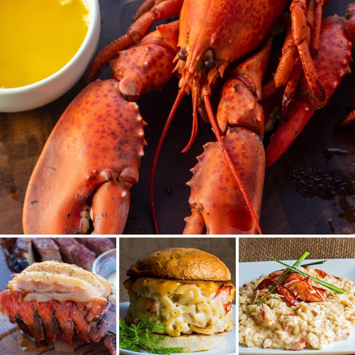 Gambar kolase persegi menampilkan beberapa hidangan lobster.
