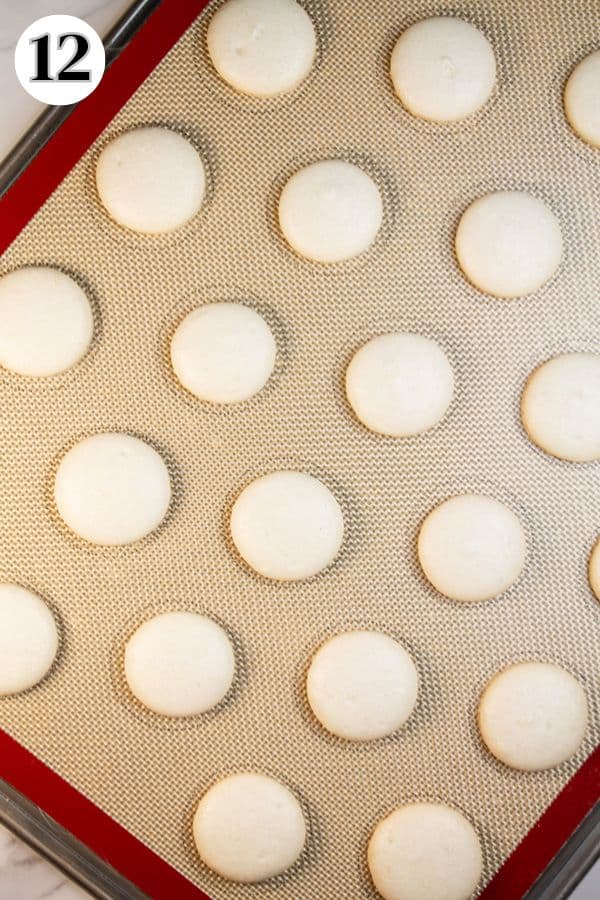 Mummy macarons process photo 12 baked macaron shells.