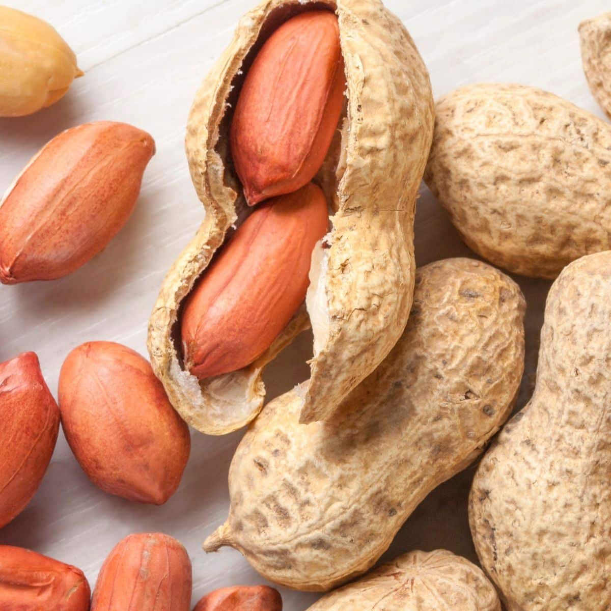 Peanut Substitute: Alternatives For Peanuts In Any Recipe