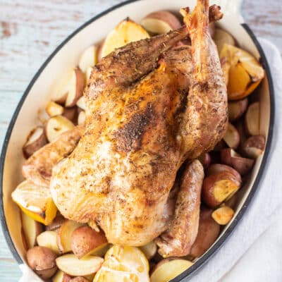 Square image of roasted pheasant in roasting pan with potatoes and lemons.