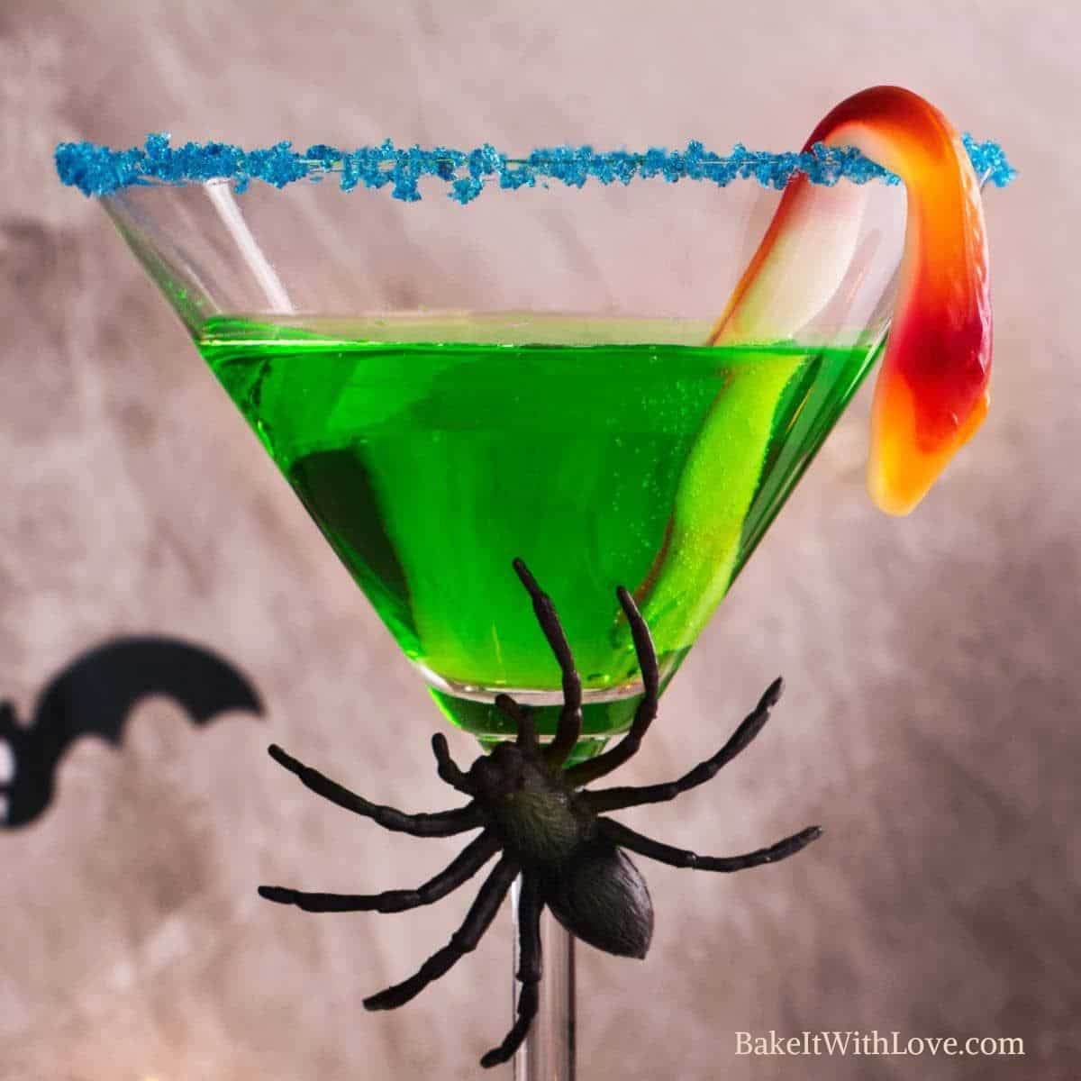 Square image showing a witches brew cocktail in a martini glass with a plastic spider.