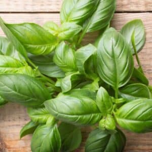 Square image of basil on a wood backdrop.