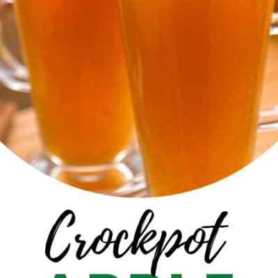 Pin image with text of crockpot apple cider.