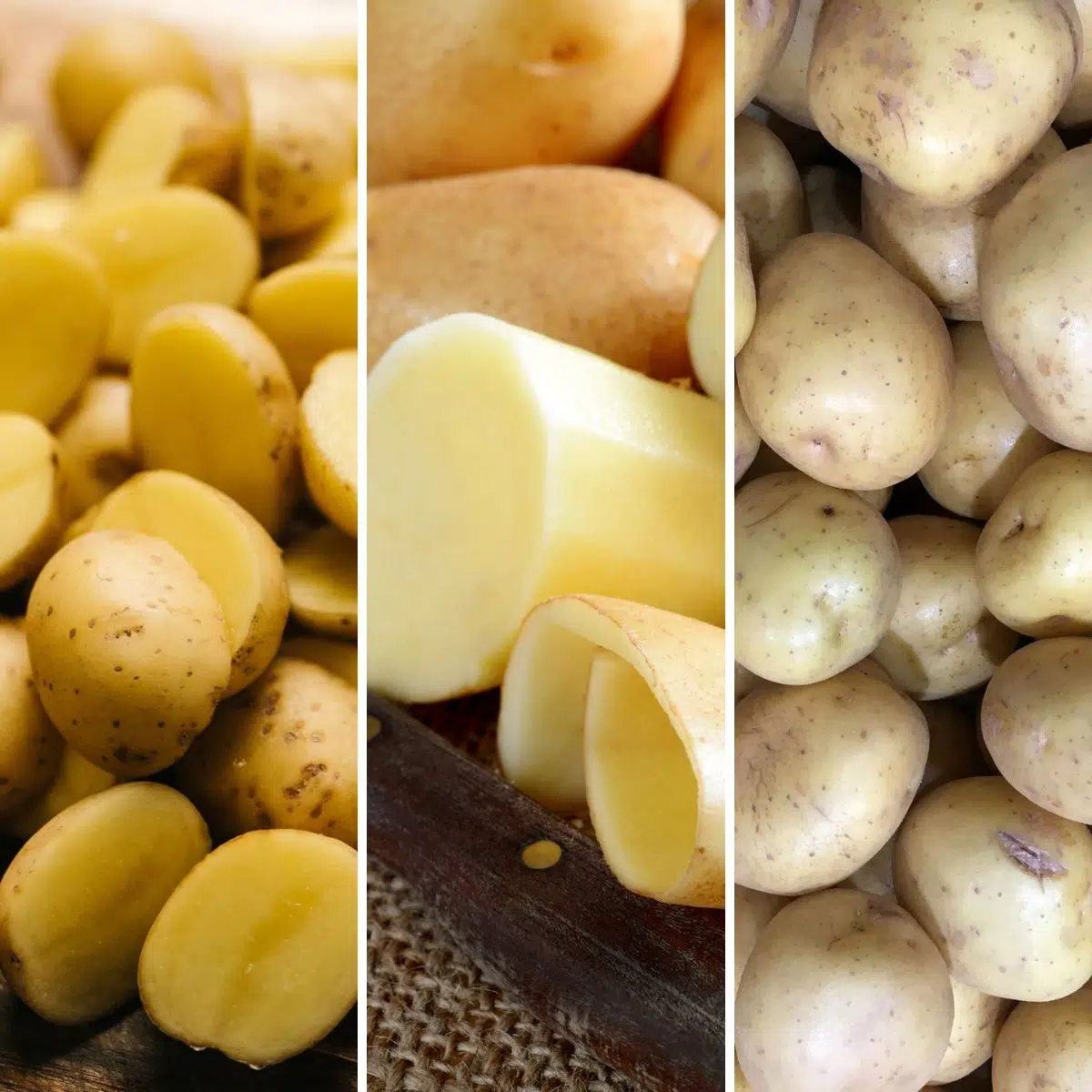 Types of Potatoes: The 8 Potato Varieties to Know