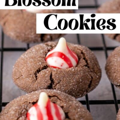 Best chocolate peppermint blossoms pin featuring just baked cookies and text title overlay.