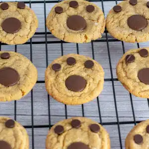 Best peanut butter bear paw blossoms cookies on wire cooling rack.