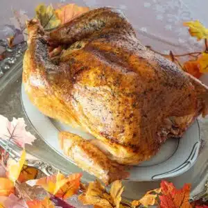 Square image showing roasted turkey.