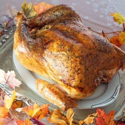 Square image showing roasted turkey.