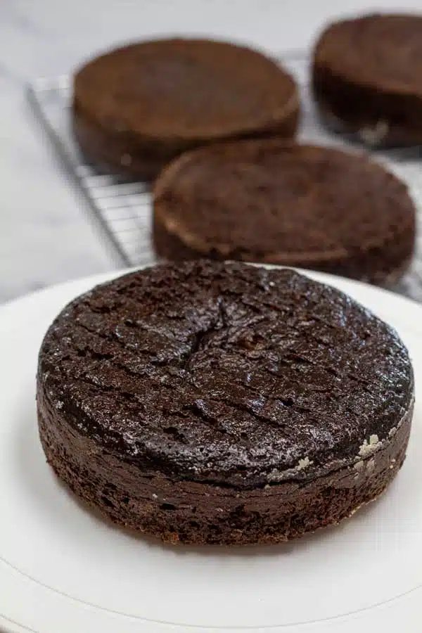 Process image 14 showing chocolate cake round.