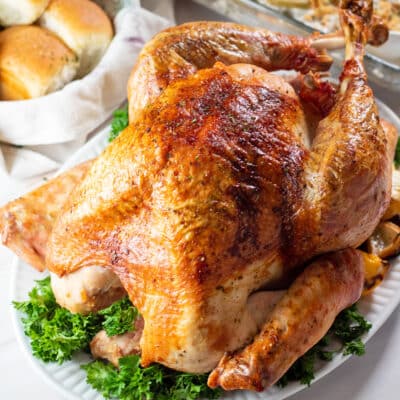 Square image of Thanksgiving turkey.