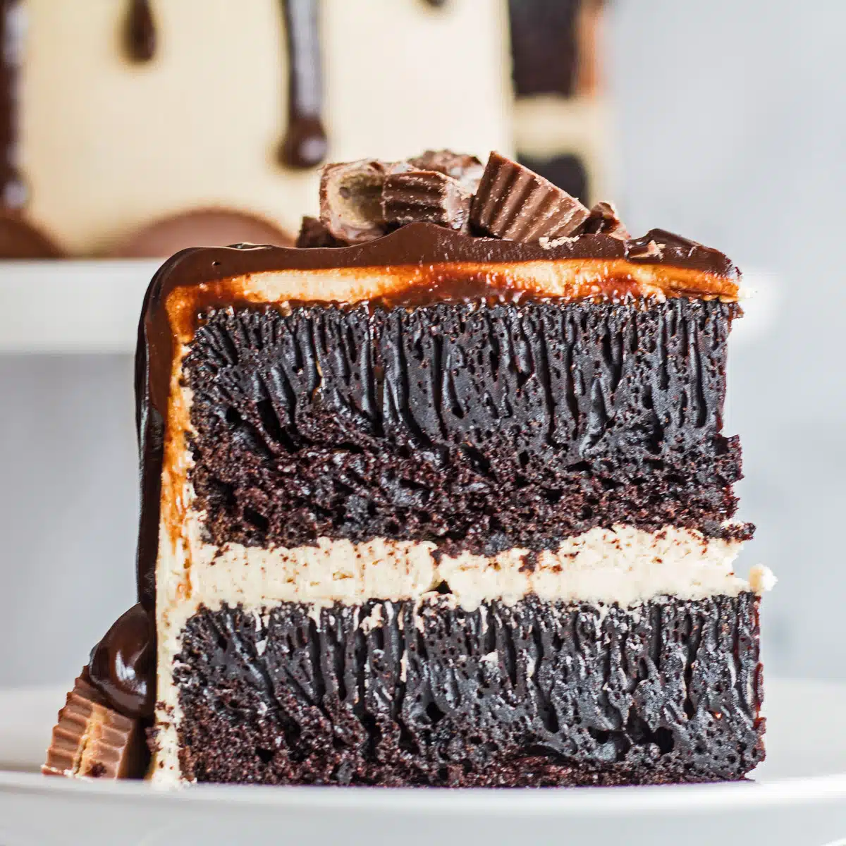 Square image of a slice of chocolate peanut butter drip cake.