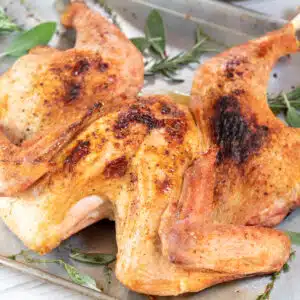 Square image of spatchcock grilled turkey.
