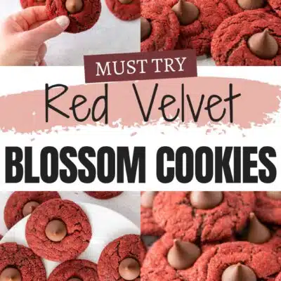 Best red velvet blossom cookies recipe pin with a 4 image collage and text title.