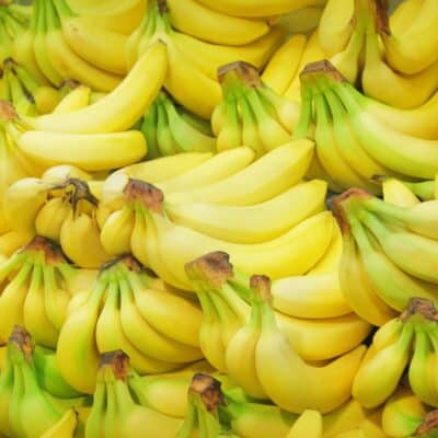 Square image showing banana bunches.