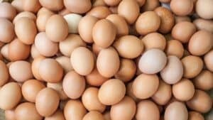 Wide image of eggs.