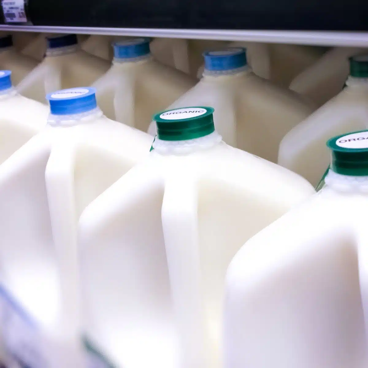 Imagen cuadrada que muestra galones de leche.
