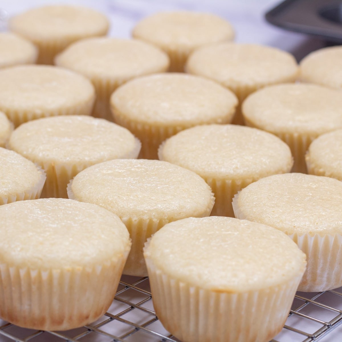 Square image showing vanilla cupcakes.