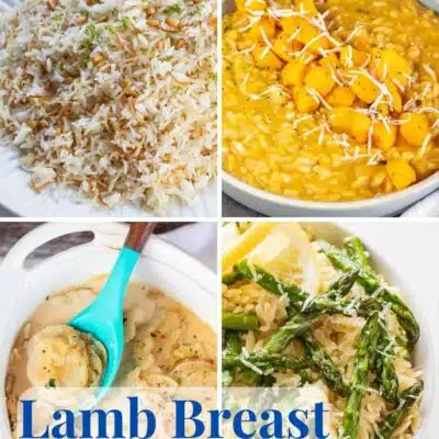 Pin split image with text showing different ideas for what to serve with lamb breast.