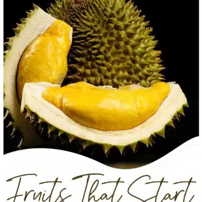 Fruits that start with d word challenge pin with fresh durian fruit on black background.