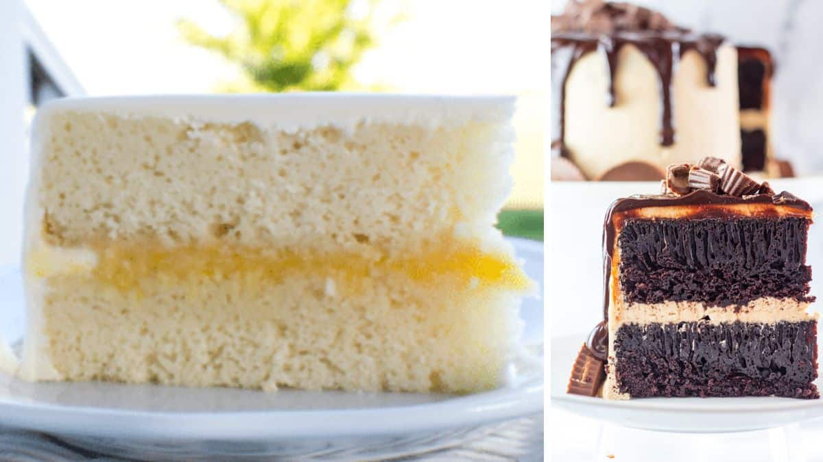 Types of cake filling illustrated with lemon curd in white cake and peanut butter buttercream frosting in a chocolate layer cake.