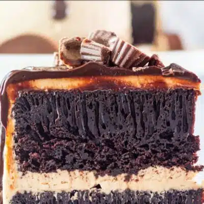 Types of cake filling pin with peanut butter chocolate drip cake slice.