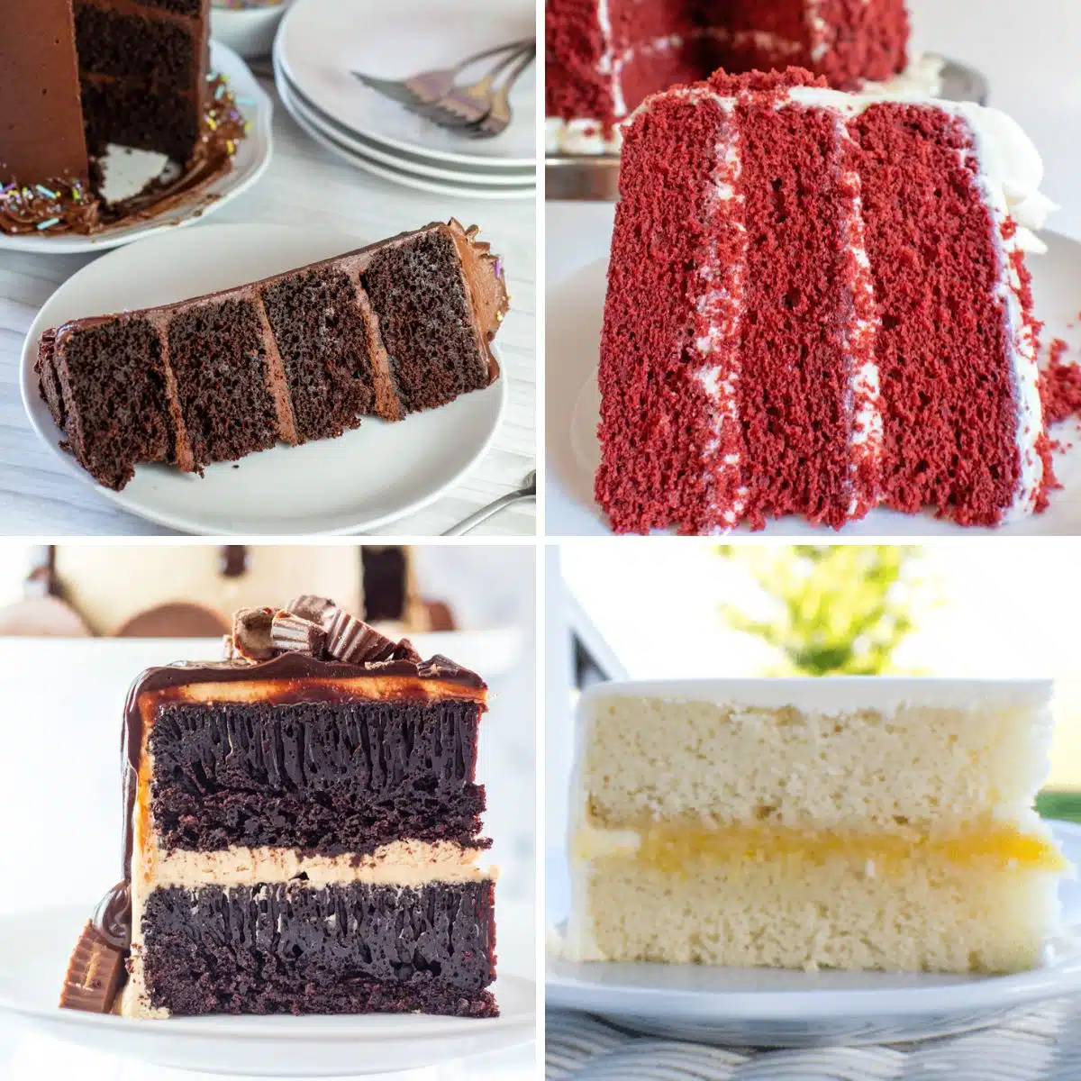 All the types of cake filling to use in your tasty layer cakes.