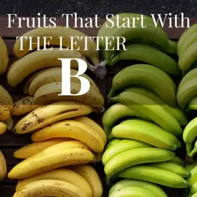 Fruits that start with the letter b.