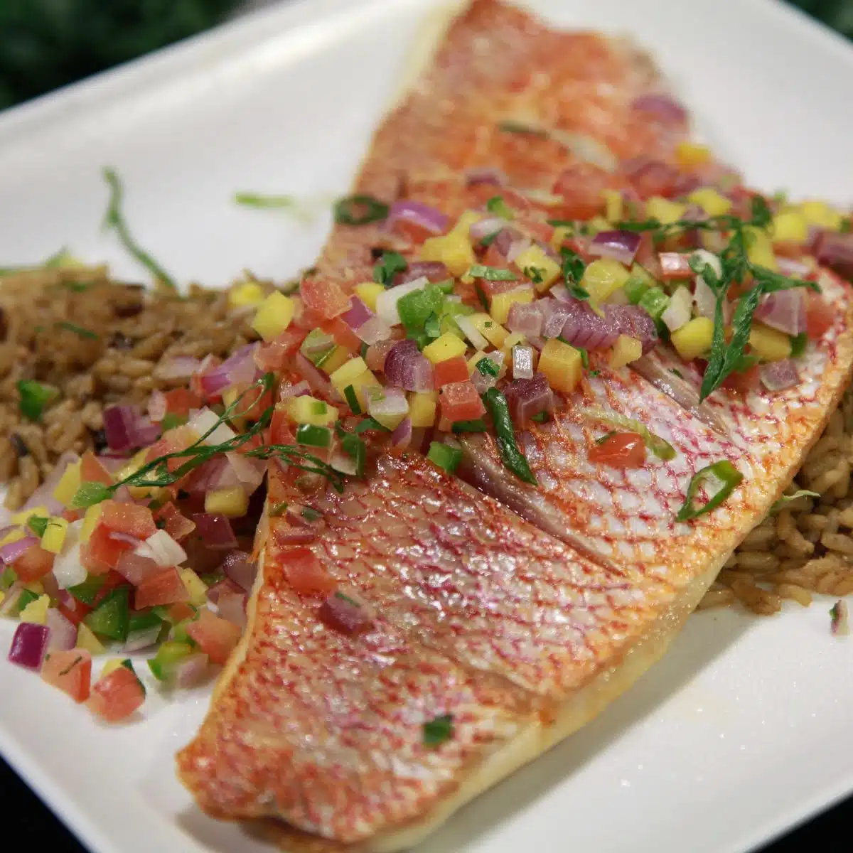 Square image of Orange Roughy pan fried on a white plate.