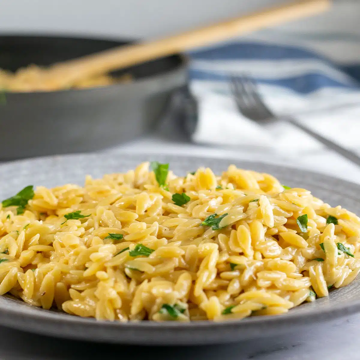 Bedste parmesan orzo pasta tilbehør serveret på grå tallerken med frisk hakket persille.