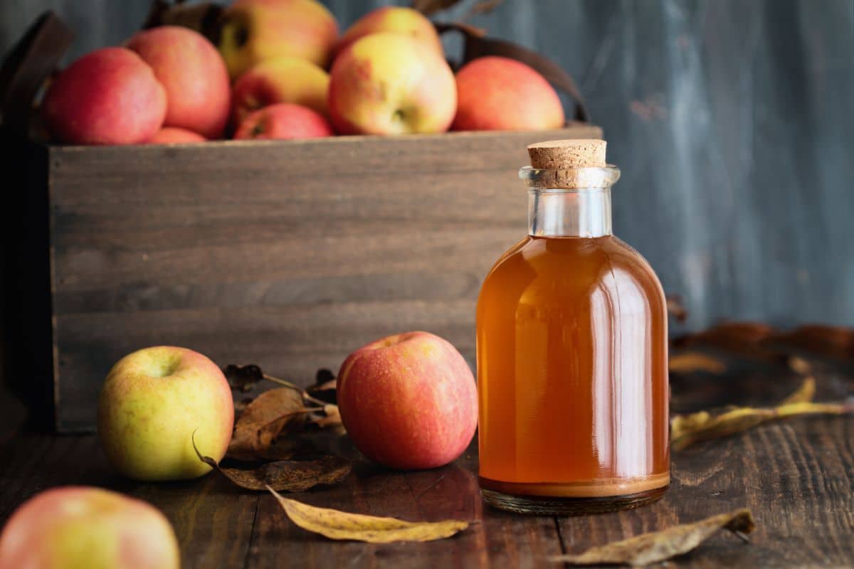 Pengganti cider epal terbaik untuk mana-mana resipi termasuk cara membuat cider buatan sendiri seperti cider epal dalam botol yang ditunjukkan di sini.