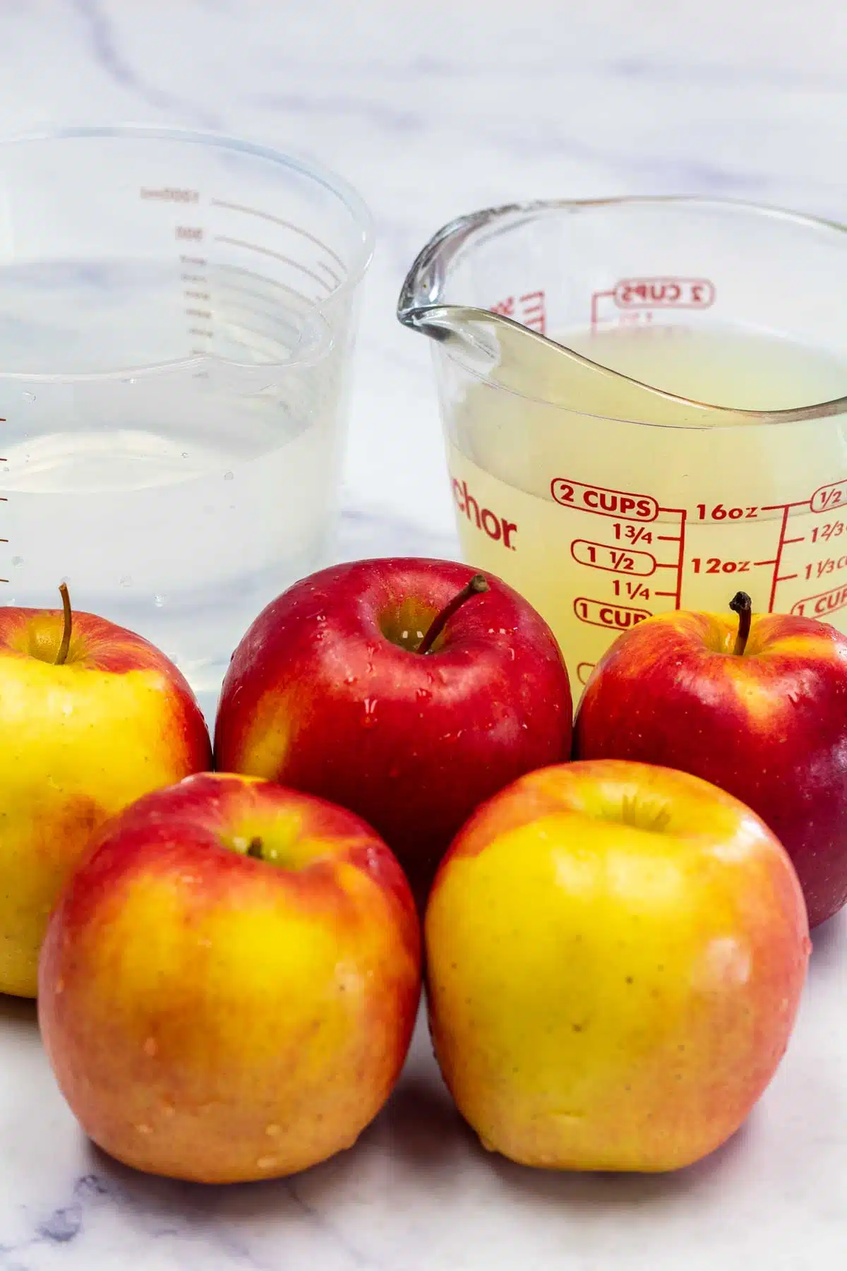 Tall image showing ingredients needed for dehydrated apples.