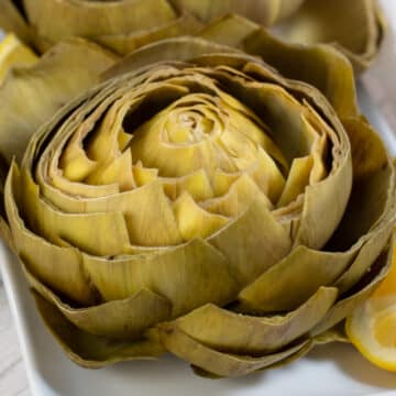 Wide image of instant pot artichokes on a white plate.