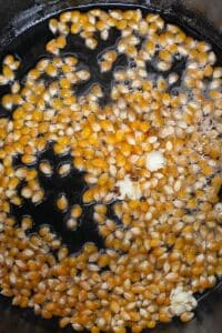 Foto proses popcorn Cheddar 1 minyak yang dipanaskan dalam oven Belanda dengan biji popcorn yang dilapisi.
