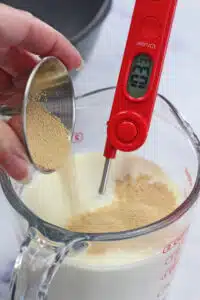 Puffed Dutch pancakes poffertjes process photo 1 add yeast to warmed milk.