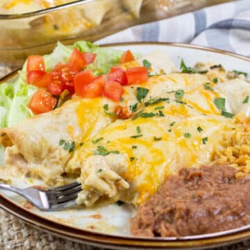 Wide image of a plate of chicken enchiladas with green sauce, with a side of refried beans and Mexican rice.