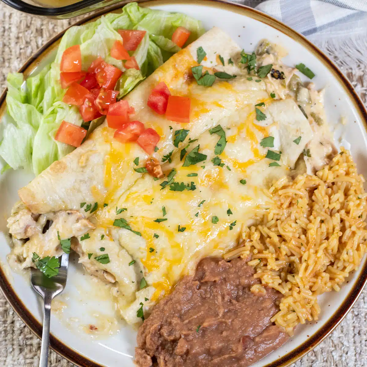 Square image of a plate of chicken enchiladas with green sauce, with a side of refried beans and Mexican rice.