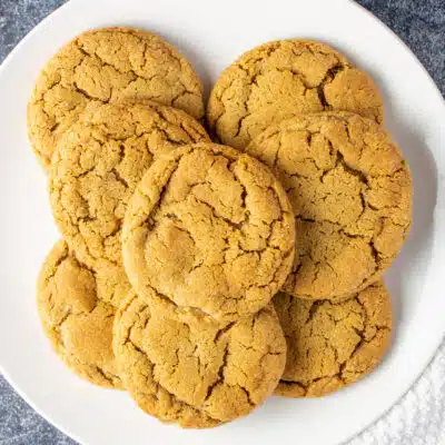 Firkantet billede af ingefær melasse cookies på en hvid plade.