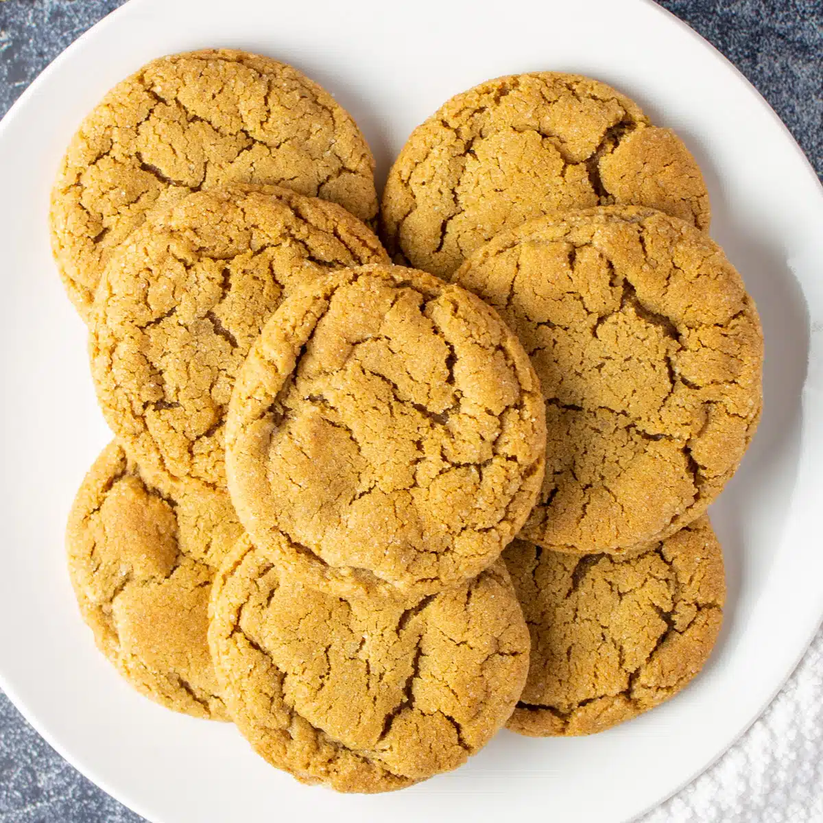 Square image of ginger molasses cookies on a white plate.
