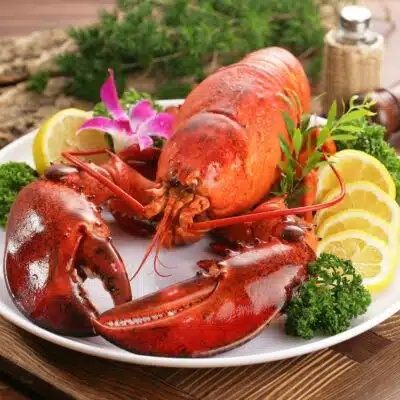 Square image of a boiled lobster on a serving plate.